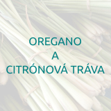 Oregáno a citrónová tráva - 10ml